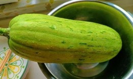 在哪里可以免费获得吃瓜,盘点全网免费瓜源攻略